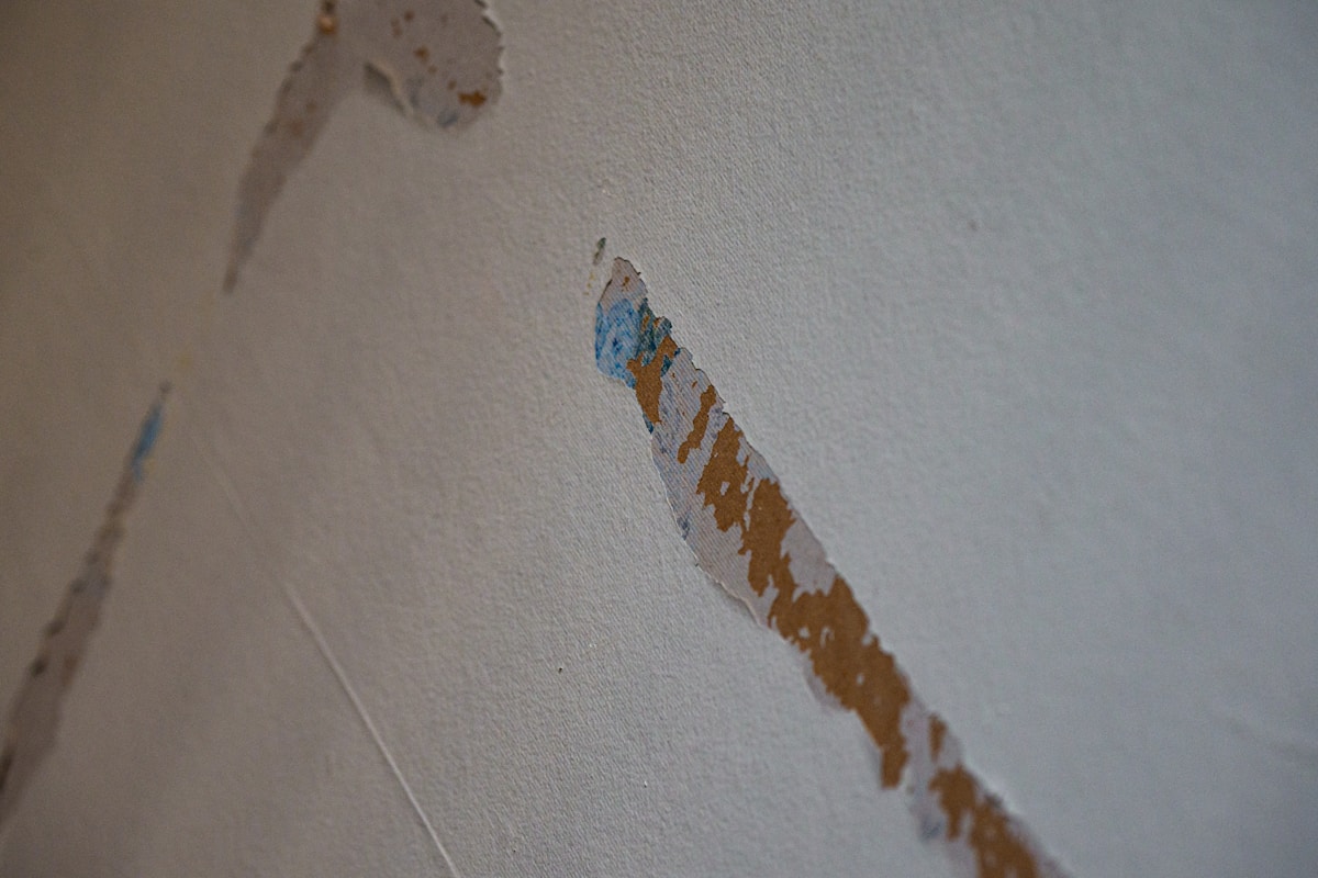 Structural Drying service in Taylorsville, UT